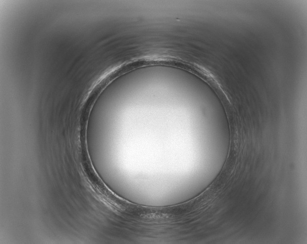 X0000080110535200612080957