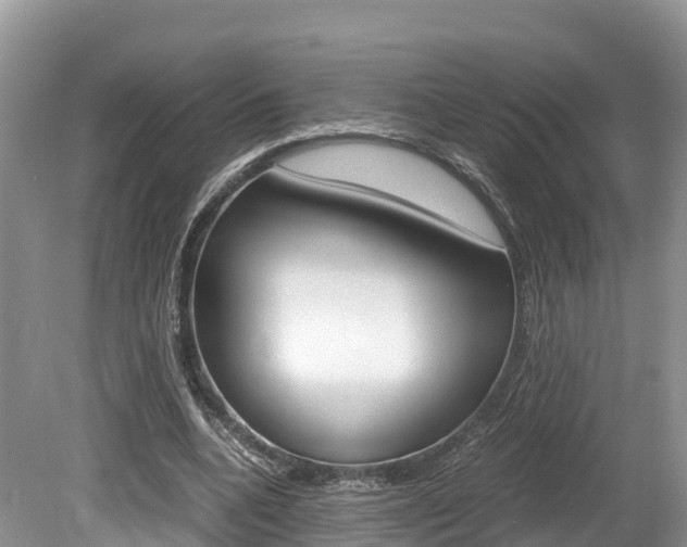 X0000080110536200612080958