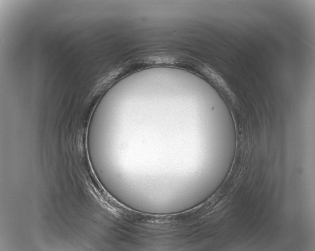 X0000080110537200612080958