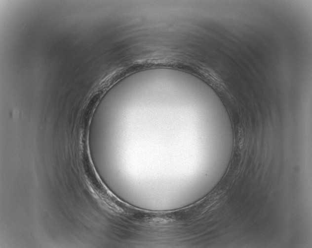 X0000080110542200612080958