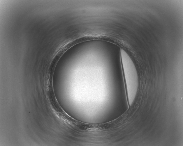 X0000080110544200612080958