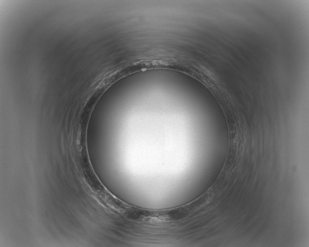 X0000080110548200612080958