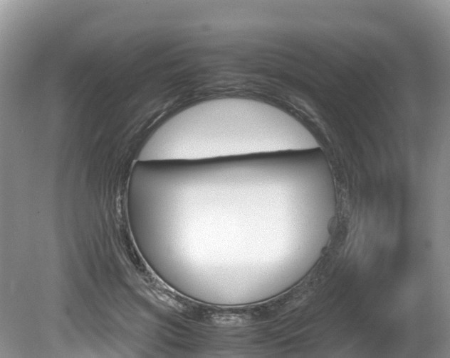 X0000080110549200612080958