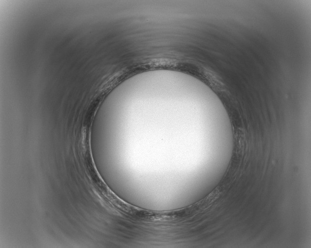 X0000080110550200612080958