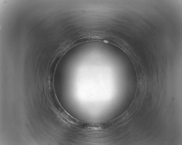 X0000080110552200612080958