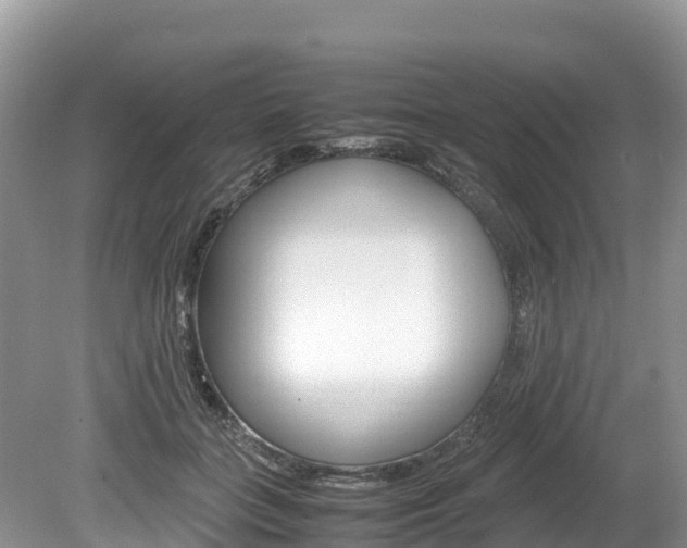 X0000080110555200612080958
