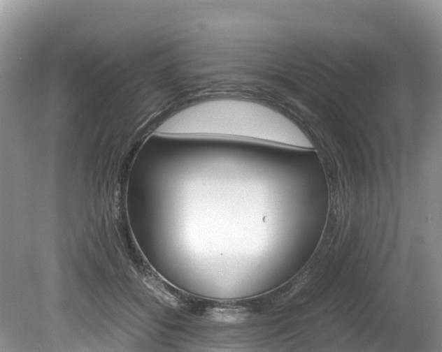 X0000080110556200612080958