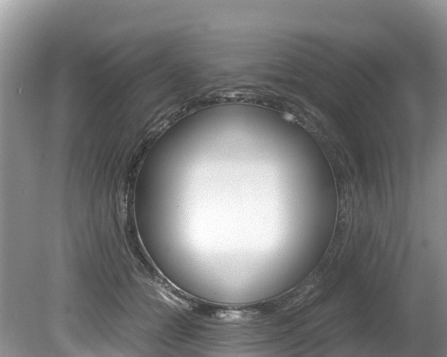 X0000080110558200612080958