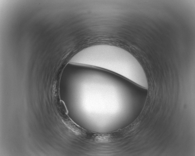 X0000080110560200612080958