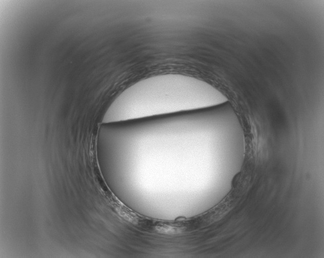 X0000080110561200612080958