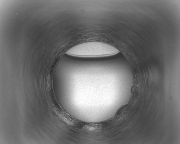 X0000080110563200612080958
