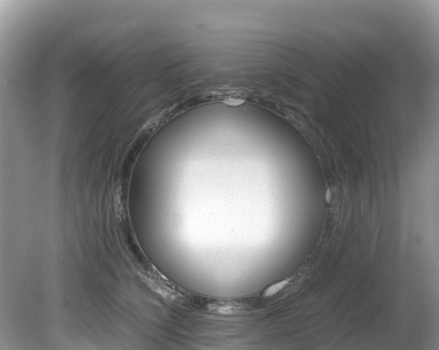 X0000080110564200612080958