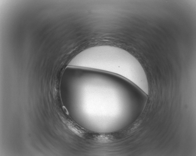 X0000080110566200612080958