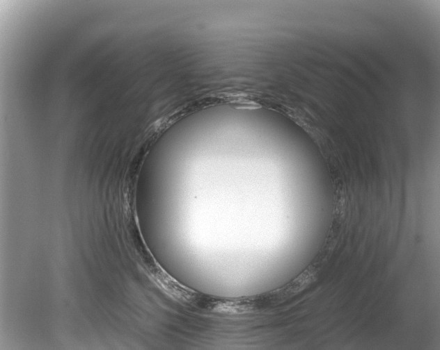 X0000080110568200612080958