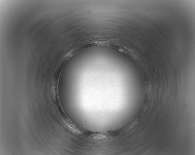 X0000080110572200612080958