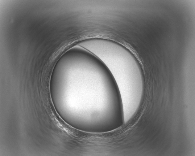 X0000080110577200612080957