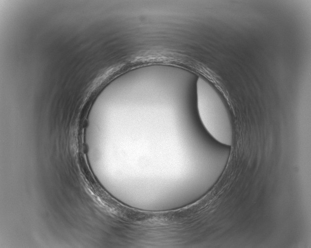 X0000080110578200612080957