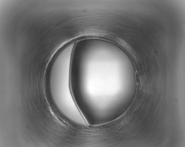 X0000080110580200612080957