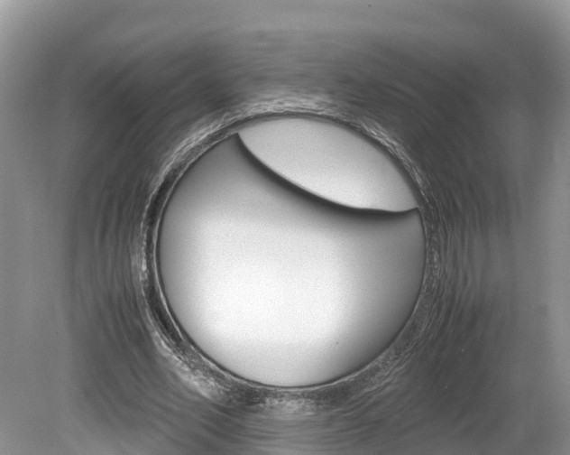 X0000080110582200612080957