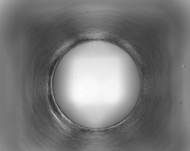 X0000080110586200612080957