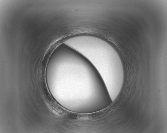 X0000080110587200612080957