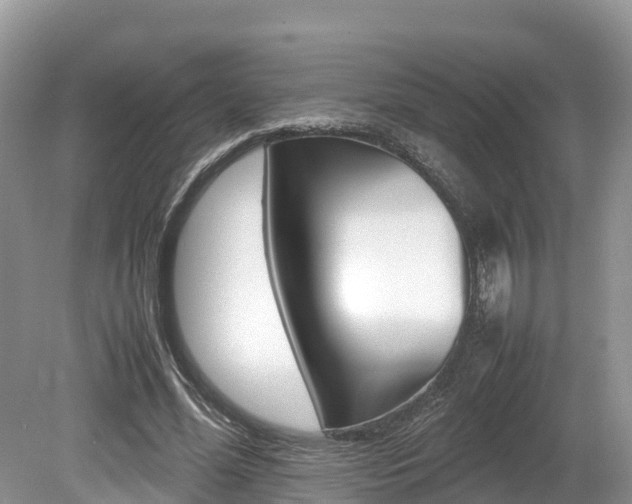 X0000080110588200612080957