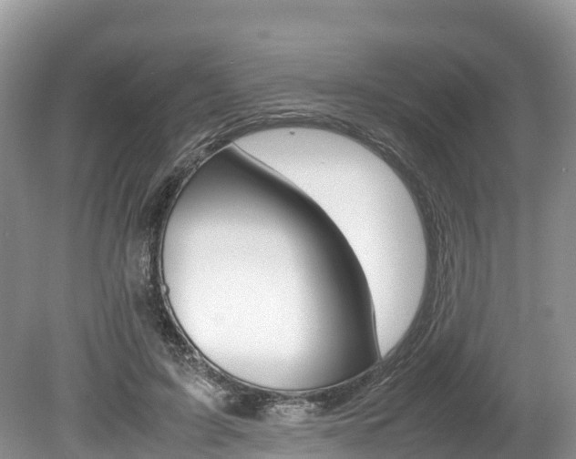 X0000080110595200612080957