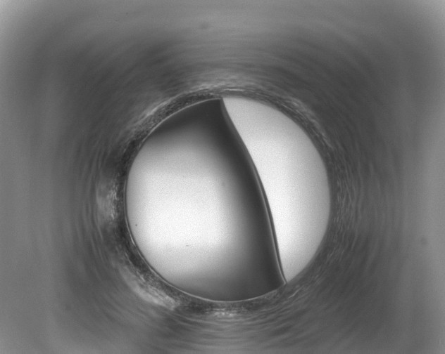 X0000080110596200612080957