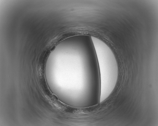X0000080110597200612080957