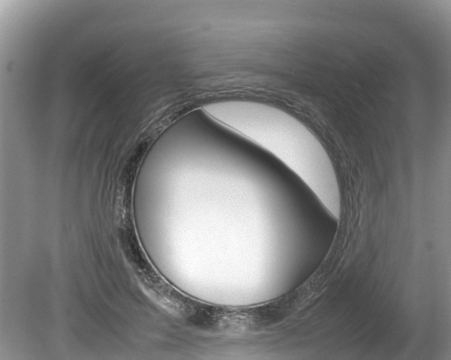 X0000080110599200612080957