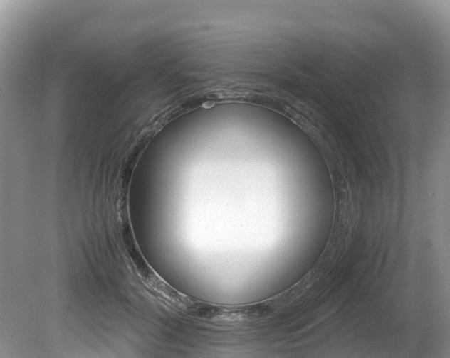 X0000080110604200612080957