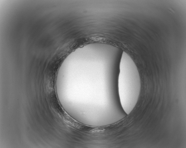X0000080110606200612080957