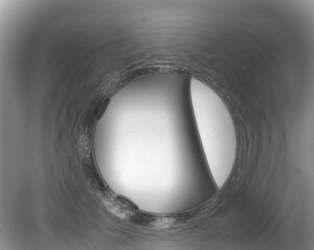 X0000080110609200612080957