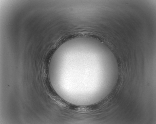 X0000080110615200612080957