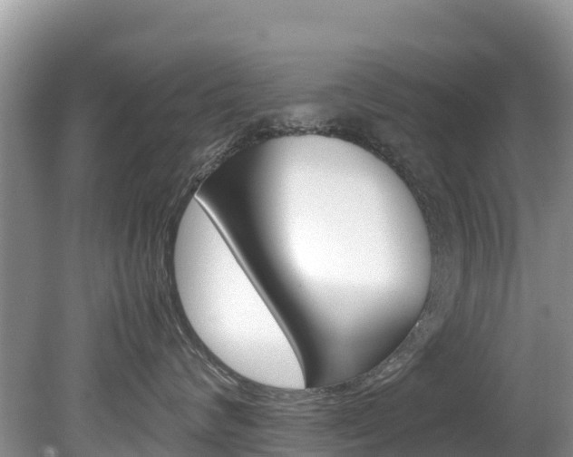 X0000080110624200612080957