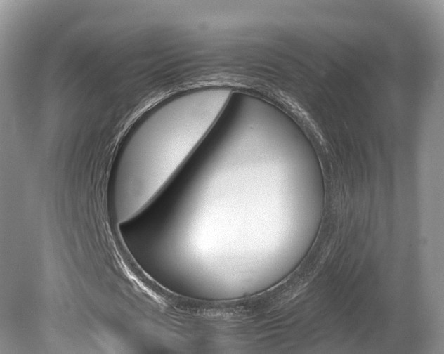 X0000080110625200612080956