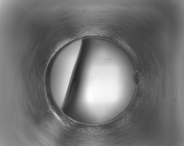 X0000080110626200612080956