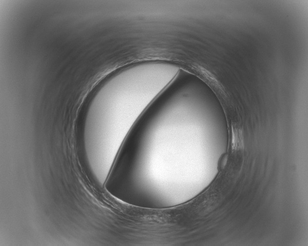 X0000080110627200612080956