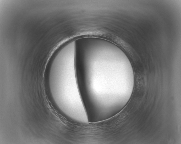 X0000080110628200612080956