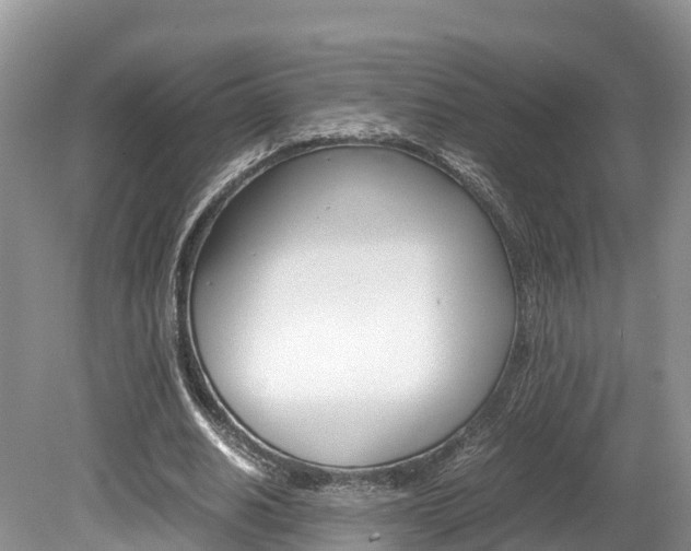 X0000080110630200612080956