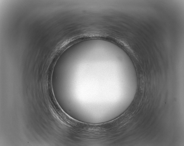 X0000080110631200612080956