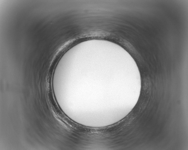 X0000080110632200612080956