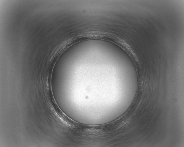 X0000080110633200612080956