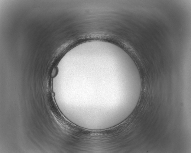 X0000080110636200612080956
