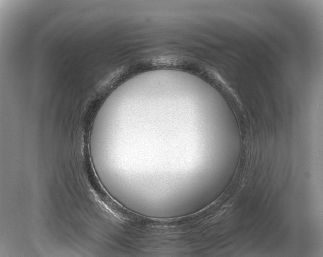 X0000080110637200612080956