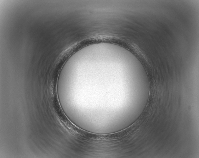 X0000080110640200612080956