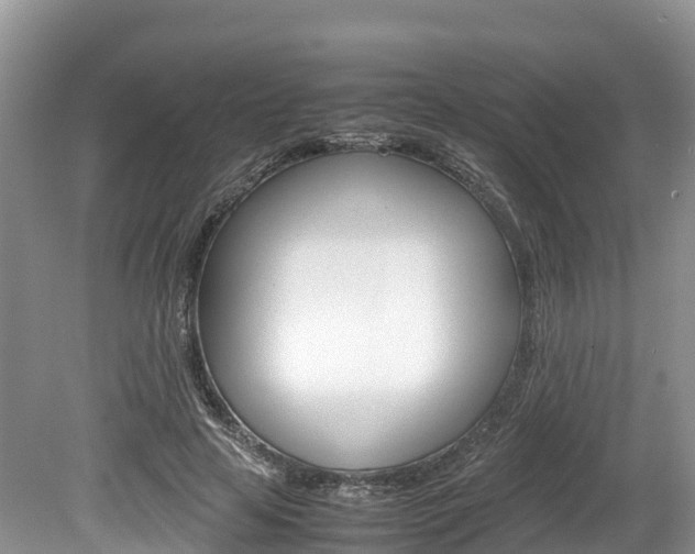 X0000080110641200612080956