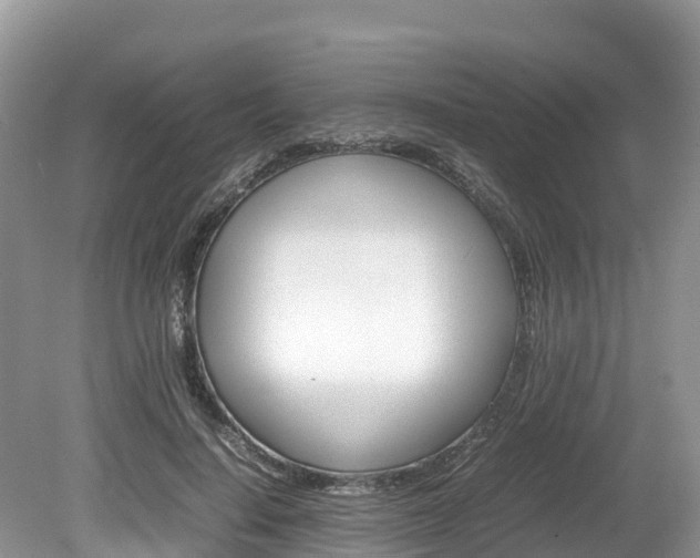 X0000080110644200612080956