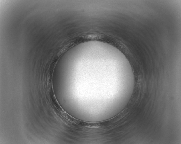 X0000080110651200612080956