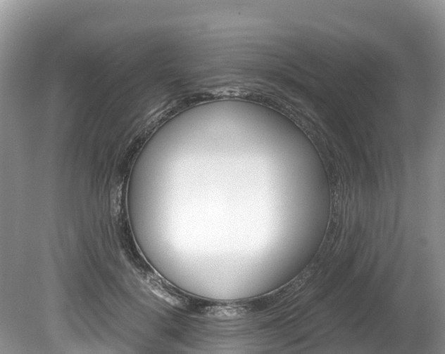 X0000080110652200612080956